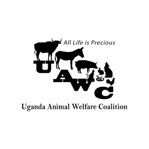 UWAC