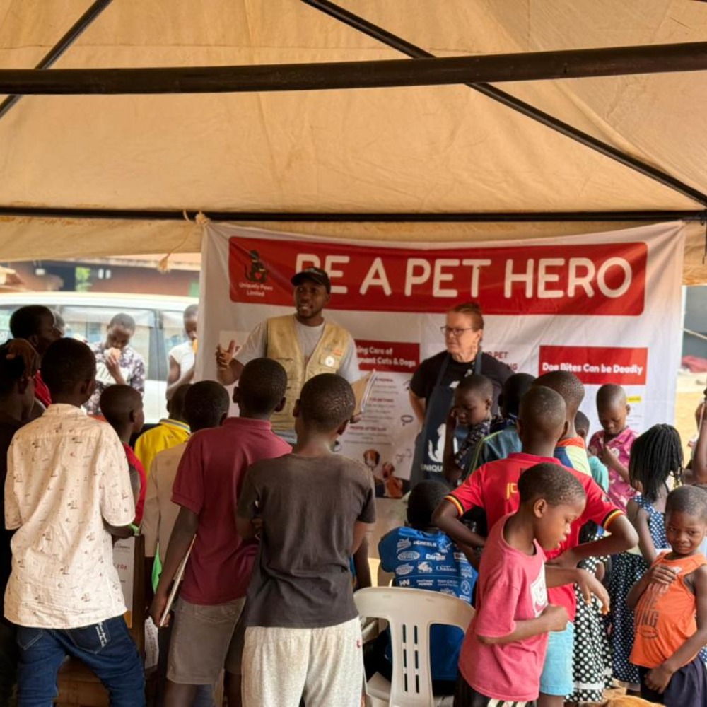 img 20251124 wa0029 1000x1000