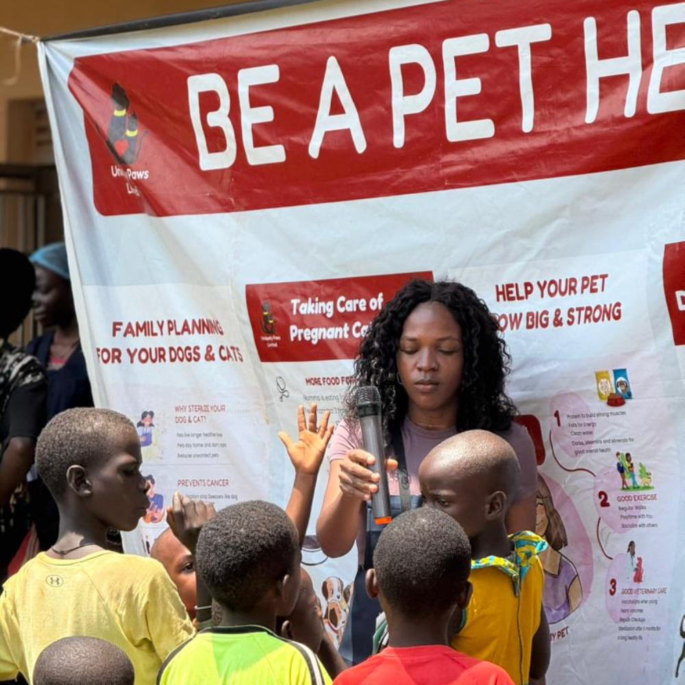 img 20251124 wa0030 1000x1000