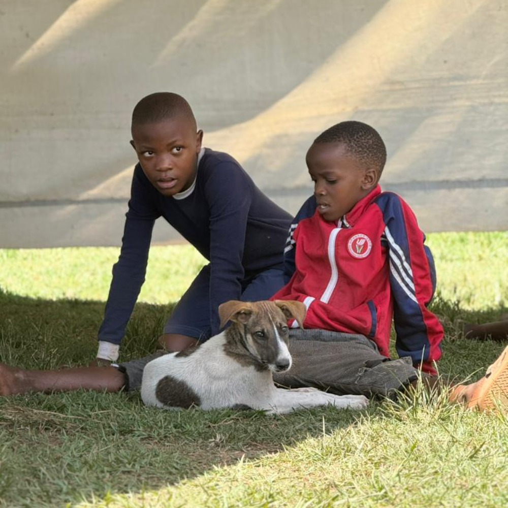 IMG-20251125-WA0005-1000x1000