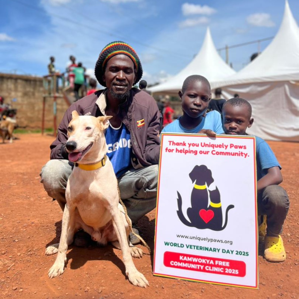 IMG-20251125-WA0008-1000x1000