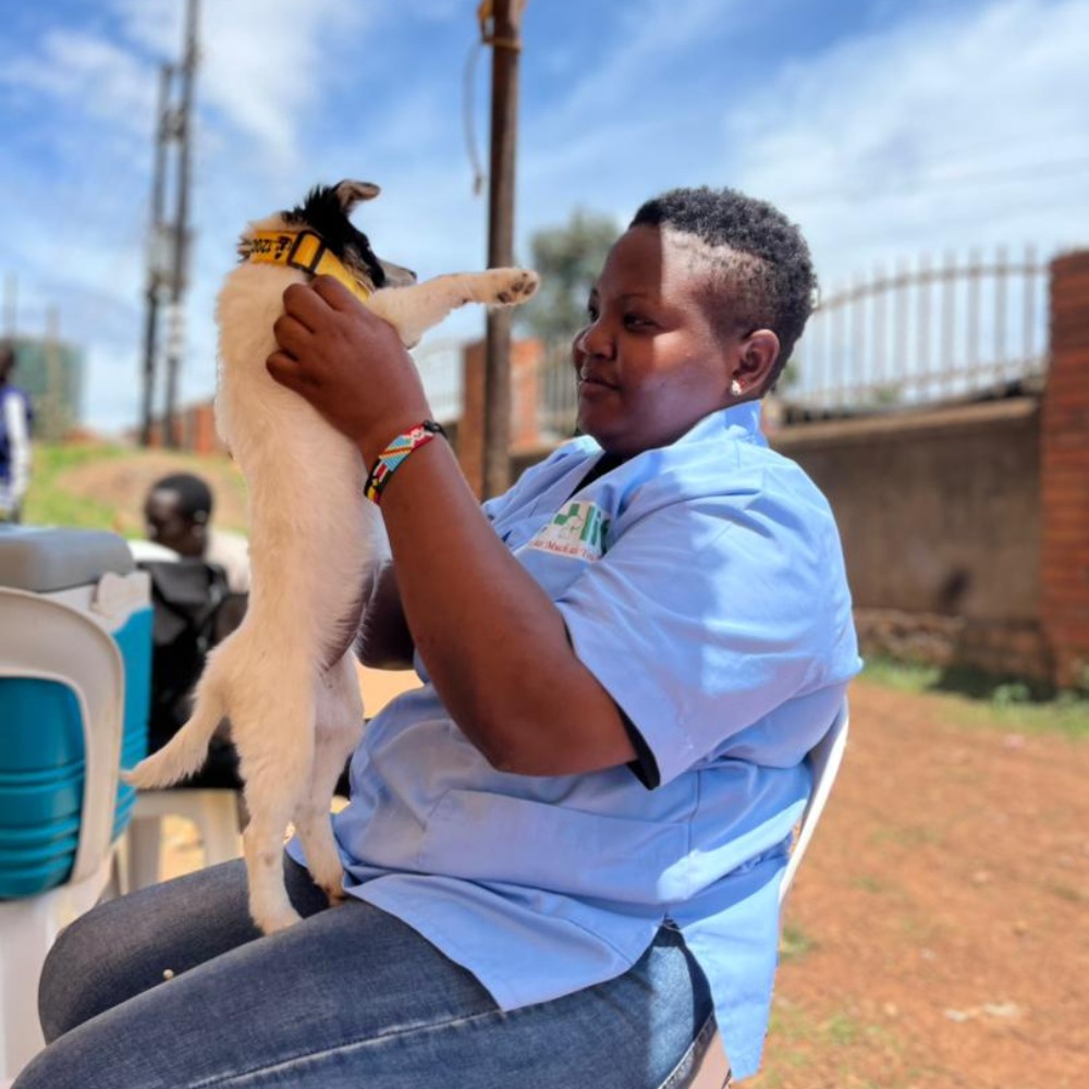 IMG-20251125-WA0009-1000x1000