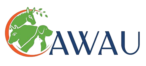 untitled design (17)